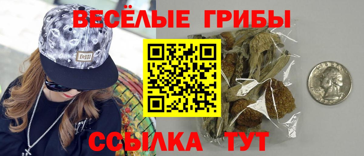 что такое   Галлюциногенные грибы прущие грибы  Вход с VPN  Кимры 